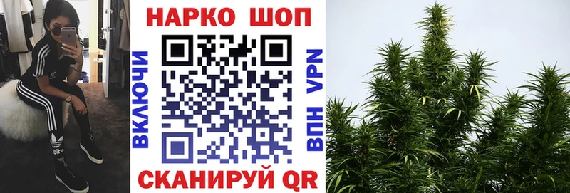 Купить наркотики цена Володарск ГАШИШ  COCAIN  Alpha-PVP  Меф 