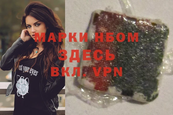 прущие грибы Белокуриха