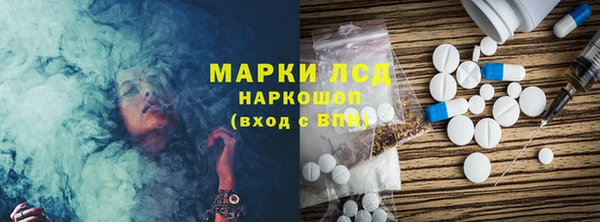 прущие грибы Белокуриха