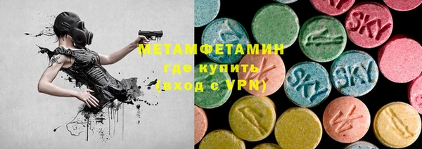 прущие грибы Белокуриха
