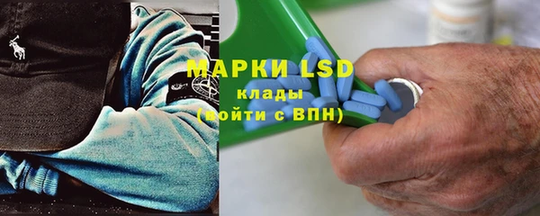 прущие грибы Белокуриха