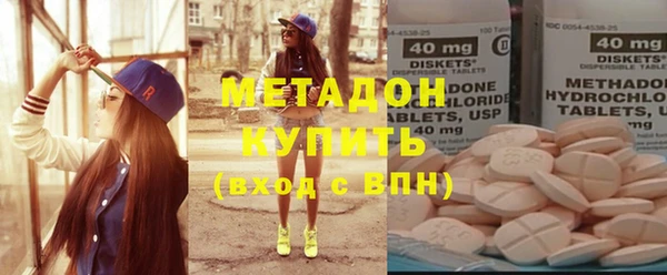 прущие грибы Белокуриха