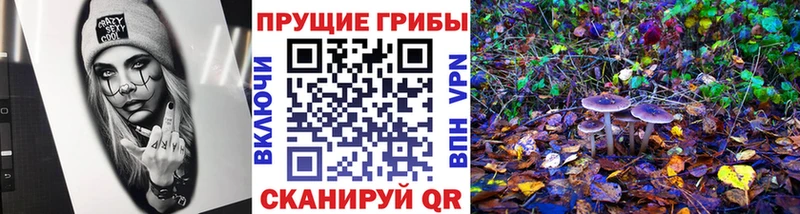 MEGA как войти  Володарск  Псилоцибиновые грибы ЛСД 